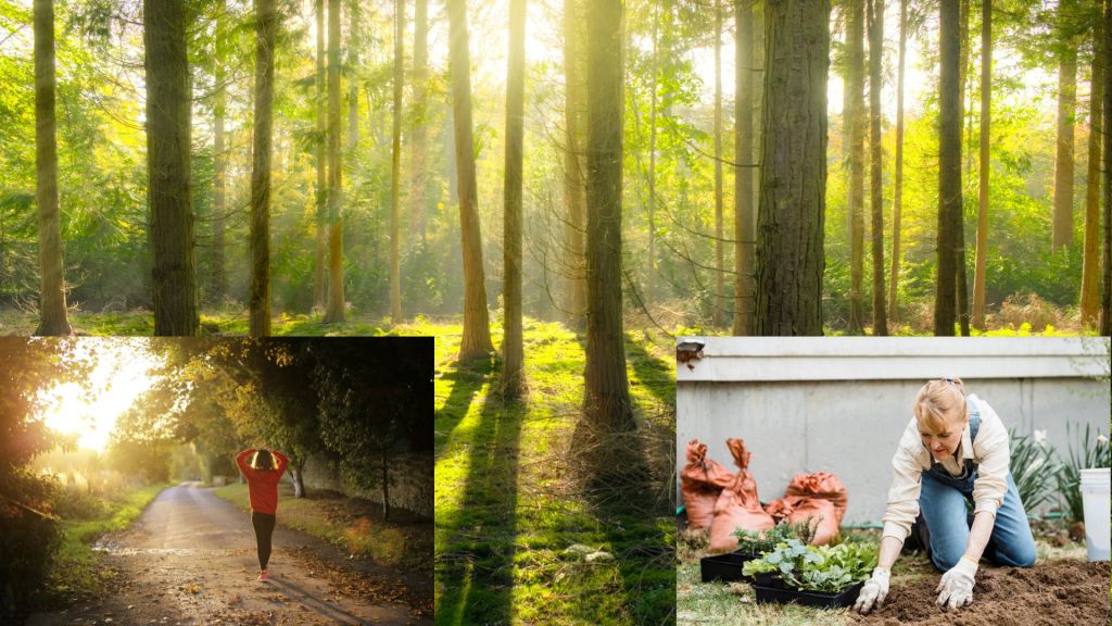 Nature Therapy - Engage