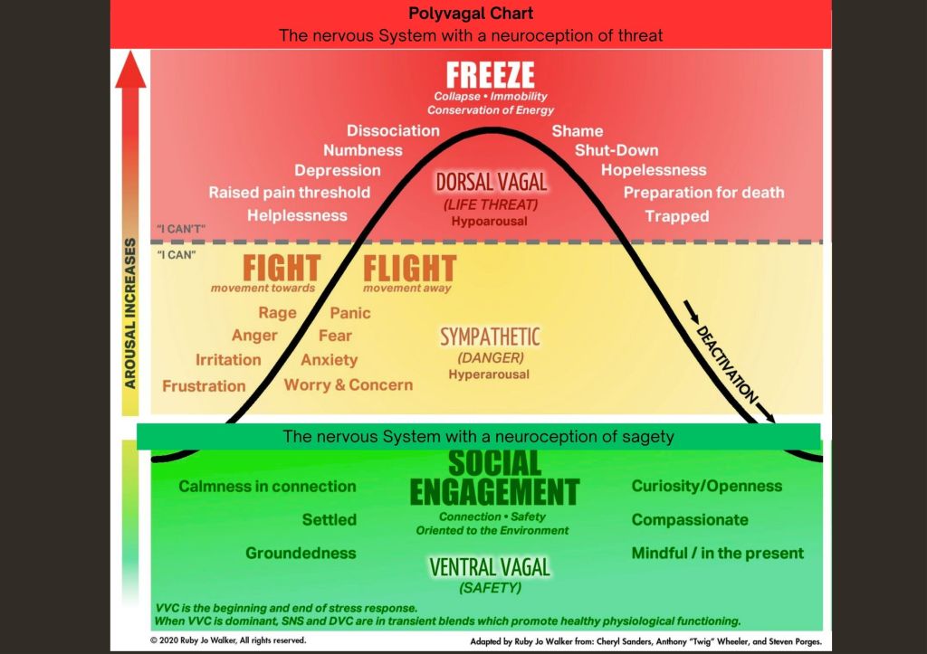 Polyvagal Theory - Chart